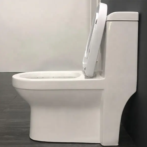 One-Piece Toilet / High-Efficiency Dual Flush with Soft-Close Seat