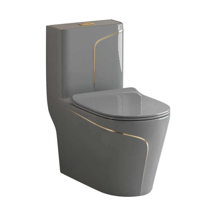 T2260GG - Grey & Gold One Piece Toilet
