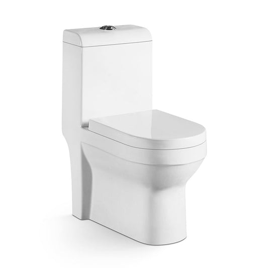 One-Piece Toilet / High-Efficiency Dual Flush with Soft-Close Seat