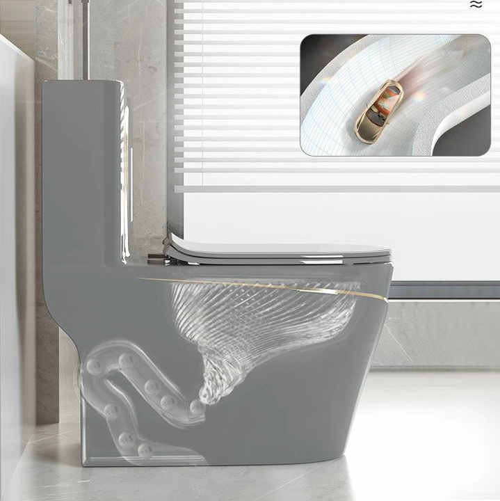 T2260GG - Grey & Gold One Piece Toilet