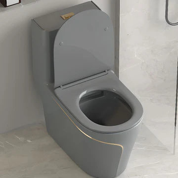 T2260GG - Grey & Gold One Piece Toilet